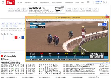 drf bets classic|PPs .